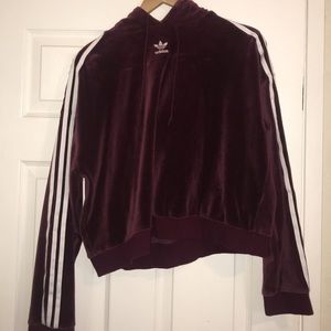 Velvet hoodie